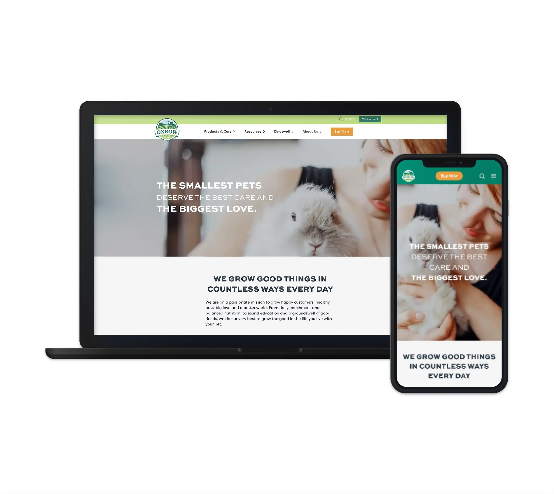 The image shows the Oxbow Animal Health website displayed on both a laptop and a mobile phone. The page features a heartfelt message, "The smallest pets deserve the best care and the biggest love," with a background of a person holding a small rabbit. Below the message, the site emphasizes the company's mission to grow healthy pets through high-quality care, dedication, and education. The design is visually clean with green and white accents, aligning with Oxbow’s commitment to pet well-being. The "Buy Now" button on both devices allows users to shop for pet products.